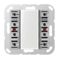 JUNG A 5072 TSM KNX STANDART SURUNUPP MODULE
