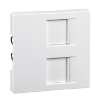 MEG4562-0325 K.PLAAT 2XRJ45 AMP AW K.LÄIGE M SYSTEM M MERTEN