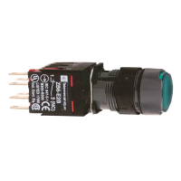XB6AW3B5B SURUNUPP ROHELINE SÜVIS VALGUSTATUD Ø16 TAGASTUV 1NO+1NC 12...24V
