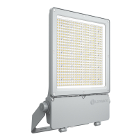FL FLEX P 250W/840 ML 39000LM ASYM 45X140DEG IP66 PROZEKTOR