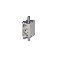 WT-00/GG 160A SULAVKAITSE 500V NH00