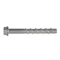 BETOONIKRUVI SEIBIGA 5X60MM ANC-(W-BS/S)(ZFSH) WS10 100TK/PKK