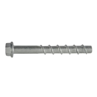 BETOONIKRUVI SEIBIGA 6X40MM ANC-(W-BS/S)(ZFSH) WS13 100TK/PKK
