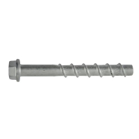 BETOONIKRUVI SEIBIGA 6X60MM ANC-(W-BS/S)(ZFSH) WS13 100TK/PKK