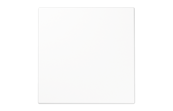 PLF1D05WW PLUG LIGHT LED WALL LUMINAIRE 2700K JUNG
