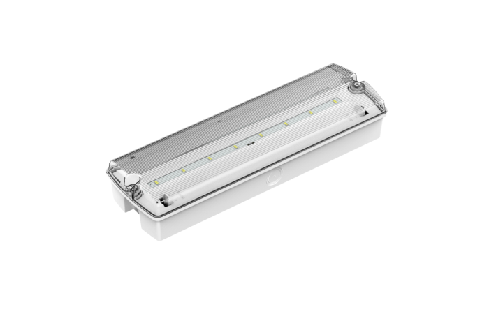 DP-638 LED/3H IP65 ST LI-FEP04 AKU EVAKUATSIOONIVALGUSTI