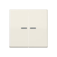 JUNG AS 591-5 KO5 GRUPILÜLITI KATE TULEGA ELEVANDILUU