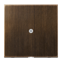 JUNG ME 2990 A AT PIMEKATE VÄLJAVIIGUGA ANTIIKMESSING