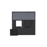 1819-81 NÕRKVOOLUPESA KESKPLAAT 2XRJ45 1819.02-LE ANTRATSIIT IMPRESSIVO