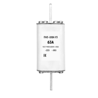 PN-2-100 100A