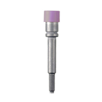 STB 35 IH/VI TEST-PESA WTL 6/1 KLEMMILE VIOLET
