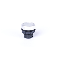 NOARK Ex9P1 FI w Flat button head. momentary. w/o printing.
