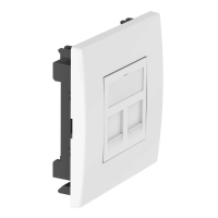 DTE-RW G2C1 KESKPLAAT 2-OS RJ2X45 KPL RAPID80 LE PC VALGE OBO