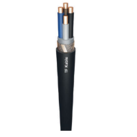 MCMK 2X6/6S JÕUKAABEL 1KV