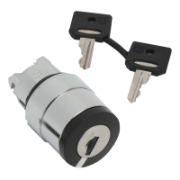 ZB4BG420 PÖÖRDLÜLITI Ø22 2POS FIKSEERUV RONIS 3131A