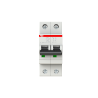 S202-K1.6 KAITSELÜLITI 2P K 1.6A 6kA