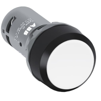CP1-10W-20 SURUNUPP VALGE 2NO