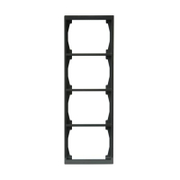 1724F100-81 4-NE RAAM 100MM RAAM ANTRATSIIT