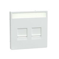MEG4564-6035 2XRJ45 NÕRKVOOLUPESA KESKPLAAT LOOTOSVALGE D-LIFE SYSTEM DESIGN MERTEN