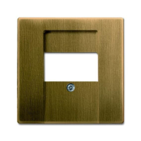 1766-840-500 NÕRKVOOLUPESA KATE ANTIIKMESSING