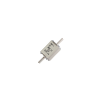 WT-1/GG 200A P SULAVKAITSE 500V NH1