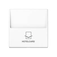 JUNG A 590 CARD WW KAARDILÜLITI KATE VALGE