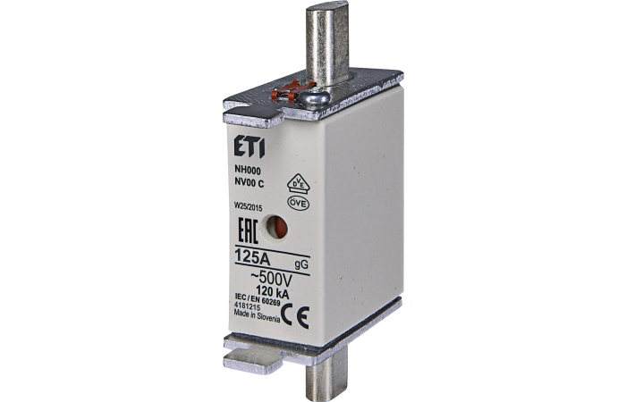 WT-00/GG 125A SULAVKAITSE 500V NH00