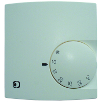 PRTR 10 RUUMI TERMOSTAAT