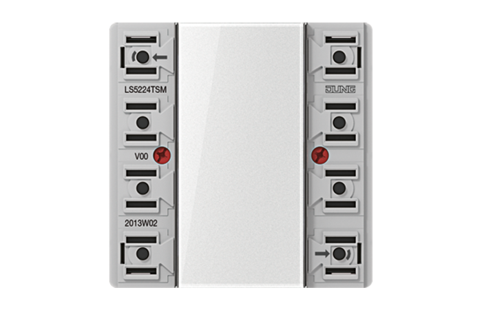 JUNG LS 5224 TSM F50 PUSH-BUTTON MODULE 24V