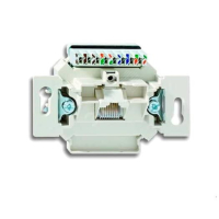 JUNG EPUAE 8 UPO K6US CAT6 RJ45 TB DA TA