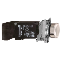 XB4BW3135 SURUNUPP VALGE SÜVIS VALGUSTATUD Ø22 TAGASTUV 1NO+1NC 110...120V