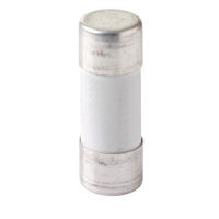 E9F22GG125 SILINDERSULAR 125A 400VAC