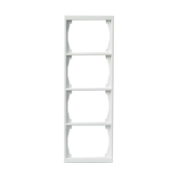 1724F100-84 4-NE RAAM 100MM RAAM VALGE