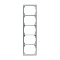 1725F100-83 5-NE RAAM 100MM RAAM ALUMIINIUM