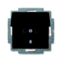 20 EUK-95-507 1-NE PISTIKUPESA KAANEGA SÜV. CHATEAU-BLACK BASIC
