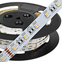 VEGAS 24V 60LED/M 12W/M RGBW+830 290LM W14MM IP67 LED RIBA
