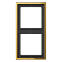 JUNG GO 2982 2-NE RAAM GOLD