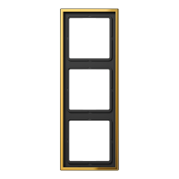 JUNG GO 2983 3-NE RAAM GOLD