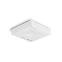ONTEC R M1U 301 NM ST 3H 2W 158LM IP20 AVATUD ALA PINNAPEALNE EVAKUATSIOONIVALGUSTI