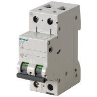 5SL4210-8  KAITSELÜLITI 2P D 10 A 10kA