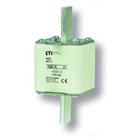WT-2C/GG 160A P SULAVKAITSE 500V NH2