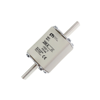 WT-1/GG 250A P SULAVKAITSE 500V NH1