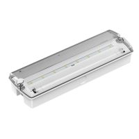 DP-638 LED/3H IP65 ST LI-FEP04 AKU EVAKUATSIOONIVALGUSTI