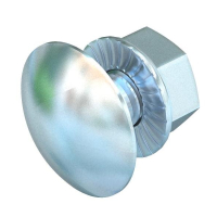 FRSB 6X16 F  ÜMARPEAPOLT KOMBIMUTRIGA M6x16 St F