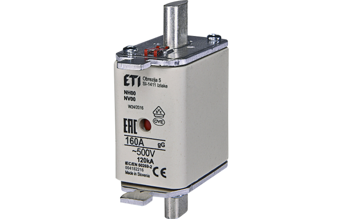 WT-00/GG 160A SULAVKAITSE 500V NH00