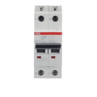 S202M-K16U KAITSELÜLITI 2P K 16A 10kA