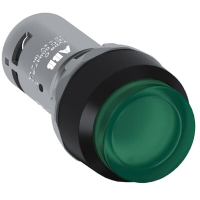 CP4-11G-10 SURUNUPP ROHELINE 1NO 24VAC/DC LED