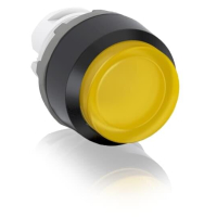 MP3-11Y SURUNUPP KOLLANE TAGASTUV